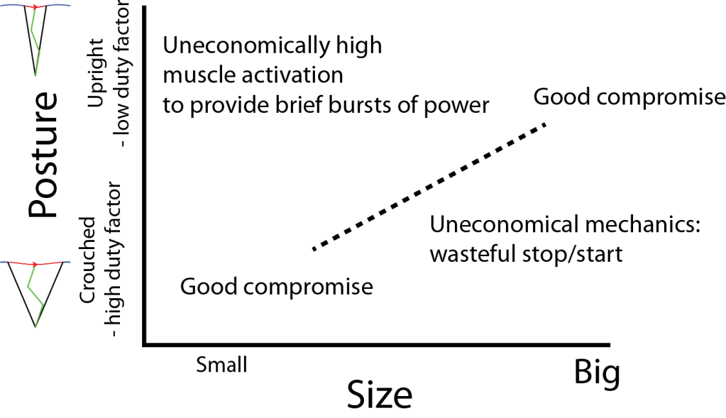 Posture scaling concept graph